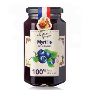 Myrtille 100% issue des fruits - 300g
